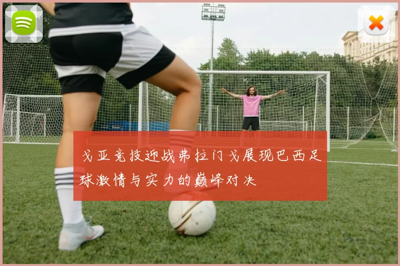戈亚竞技迎战弗拉门戈展现巴西足球激情与实力的巅峰对决